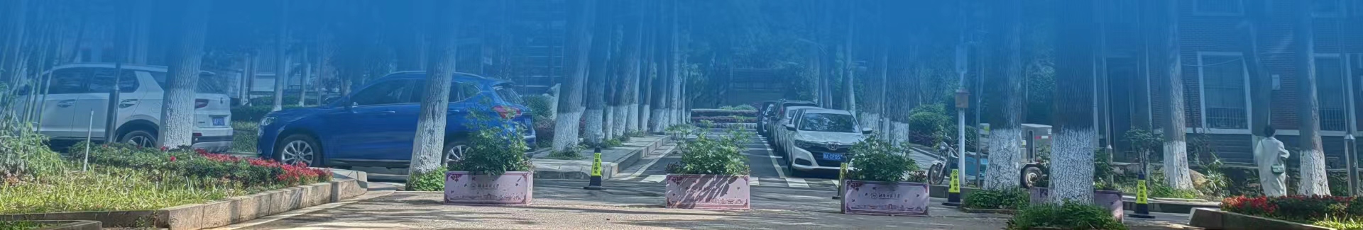 永利皇宫官方网站